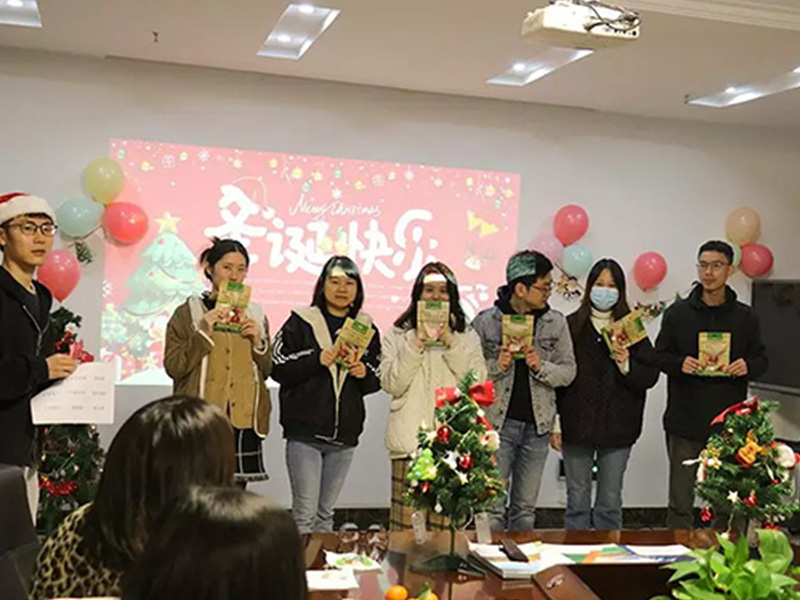 Solar First 向大家致以圣诞祝福！